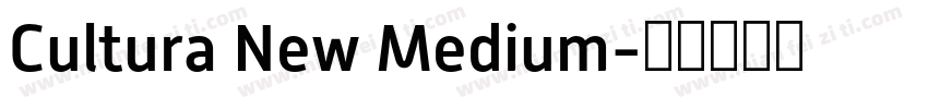 Cultura New Medium字体转换